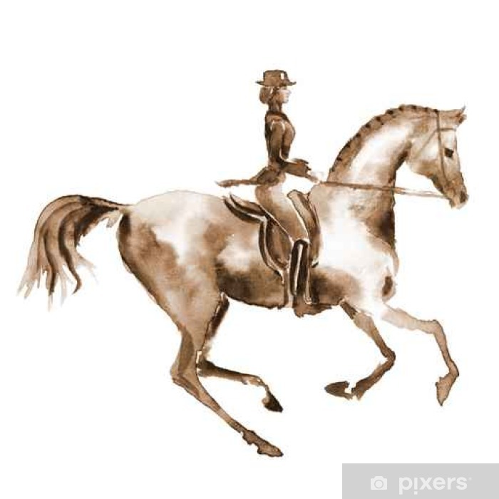 700x700 watercolor rider and dressage horse on white equestrian sport - Dressage Horse Drawing