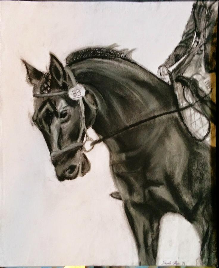 736x900 Dressage Horse Drawing - Dressage Horse Drawing