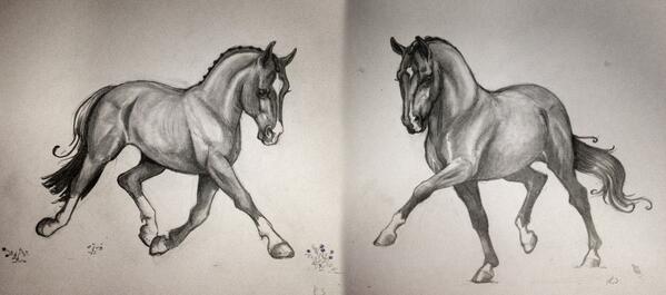 599x265 Kricko On Twitter Having Fun Drawing Pretty Dressage Horses - Dressage Horse Drawing
