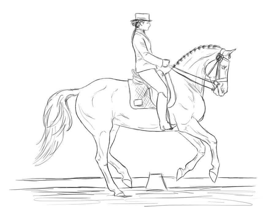 900x675 Dressage Horse Coloring Pages Adult Coloring Pages Horse - Dressage Horse Drawing