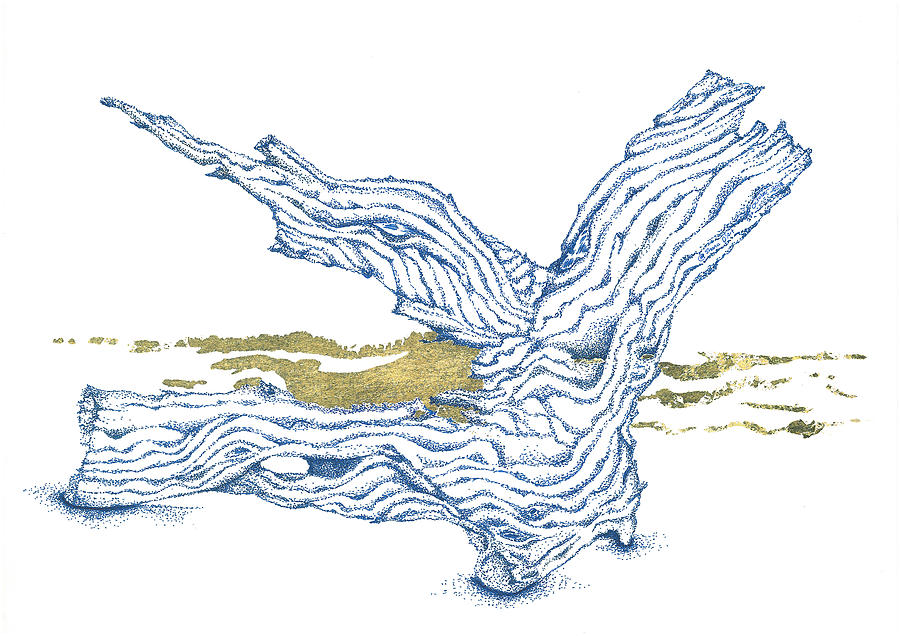 900x636 Driftwood Drawing - Driftwood Drawing