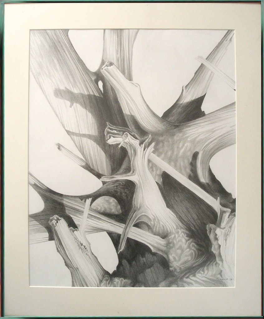 847x1024 Driftwood Pencil Drawing For Saleplease Inquire If - Driftwood Drawing