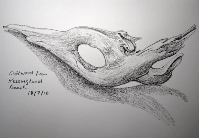 800x557 Driftwood On Kessingland Beach - Driftwood Drawing