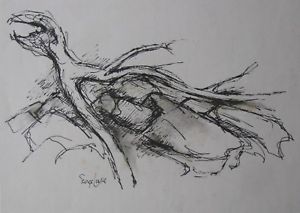 300x213 george luke australian ink drawing driftwood on the rocks - Driftwood Drawing
