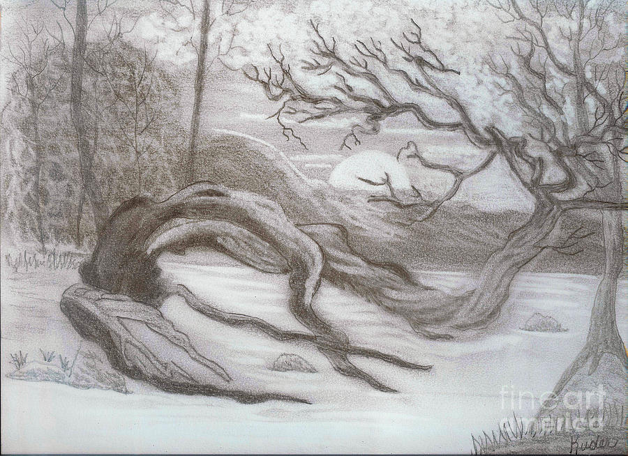 900x654 Moonlit Driftwood Drawing - Driftwood Drawing