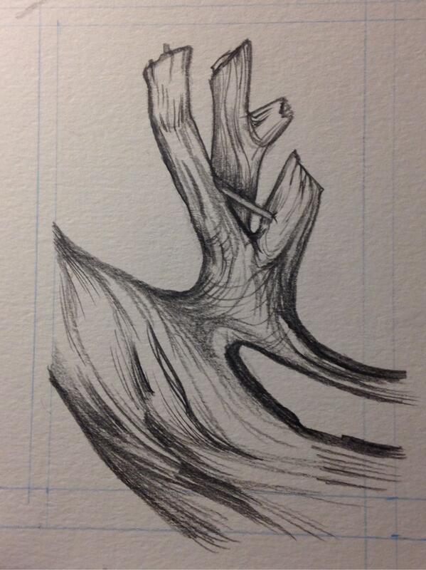 599x800 Driftwood - Driftwood Drawing