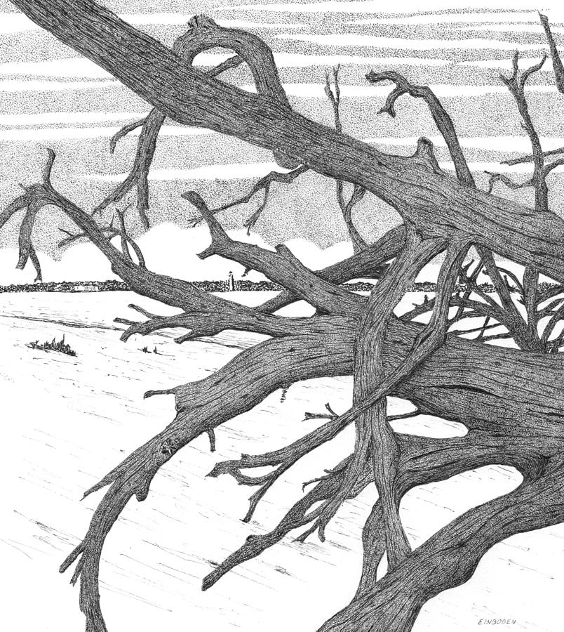 804x900 Driftwood Beach Jekyll Island Drawing - Driftwood Drawing