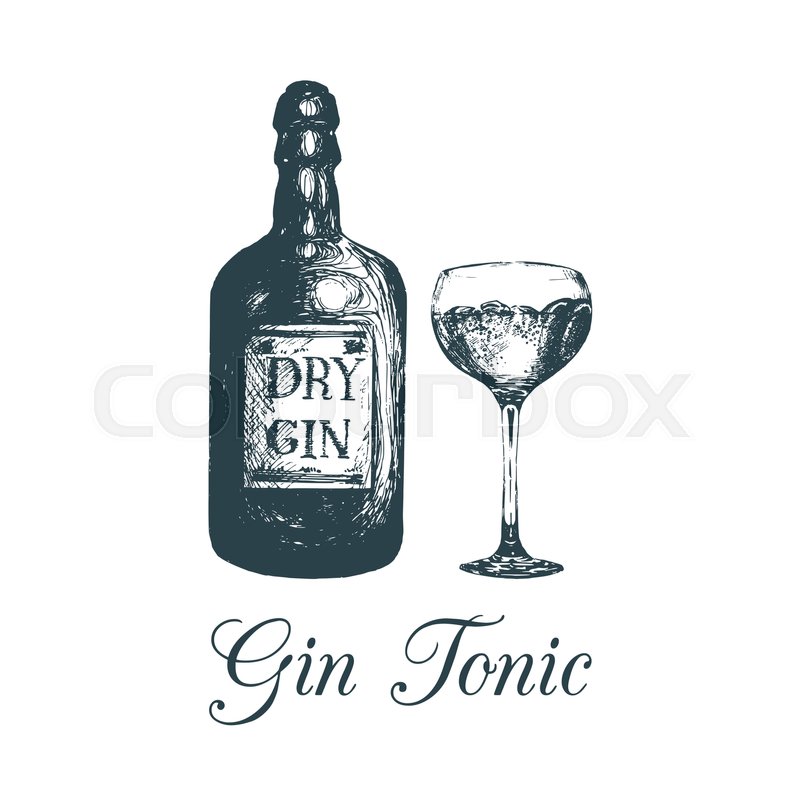 800x800 hand sketched gin bottle and glass stock vector colourbox - Drink Drawing