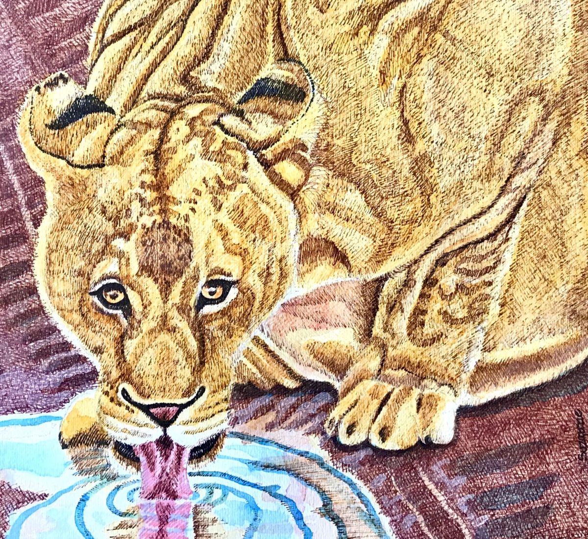 1200x1100 lioness drinking water africa drawing - Drinking Water Drawing