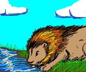300x250 a lion drinking water drawing - Drinking Water Drawing