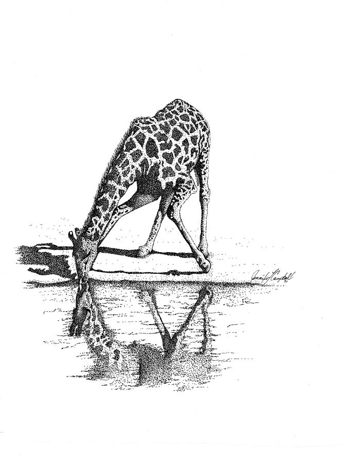 677x900 A Tall Drink Of Water Drawing - Drinking Water Drawing