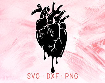 340x270 Human Heart Etsy - Dripping Heart Drawing
