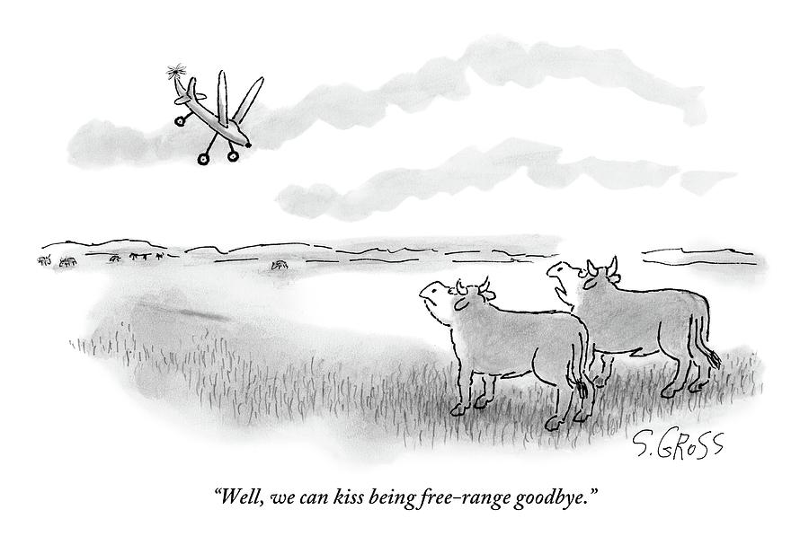 900x597 two cows stare up at a drone drawing - Drone Drawing