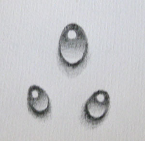 300x291 A Wee Tutorial How To Draw A Water Droplet Design - Drop Drawing