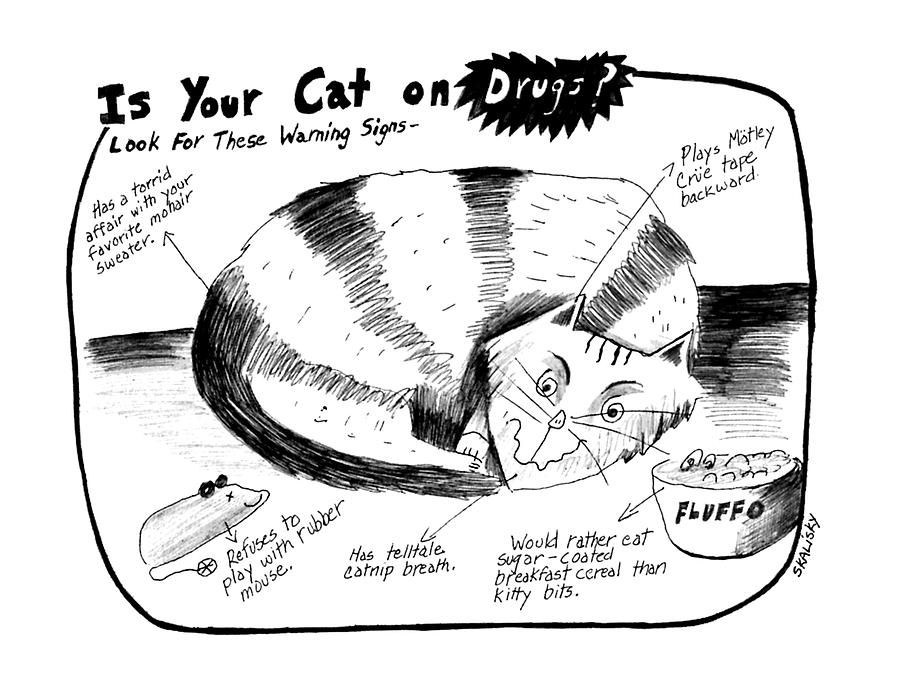 900x689 is your cat on drugs look for these warning drawing - Drugs Drawing