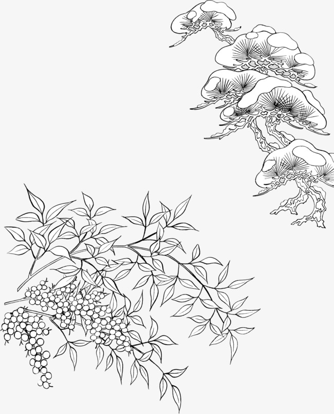 650x807 vector line drawing drugs, vector, line drawing, drugs png - Drugs Drawing