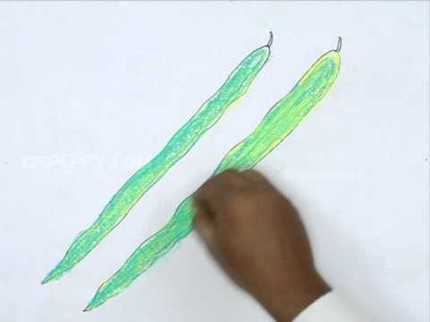 480x360 how to draw drumsticks - Drumstick Drawing