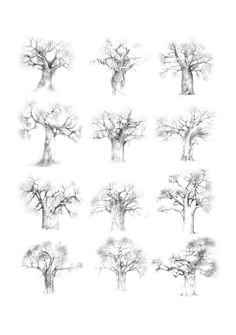 236x335 Erna Dry Art - Dry Drawing