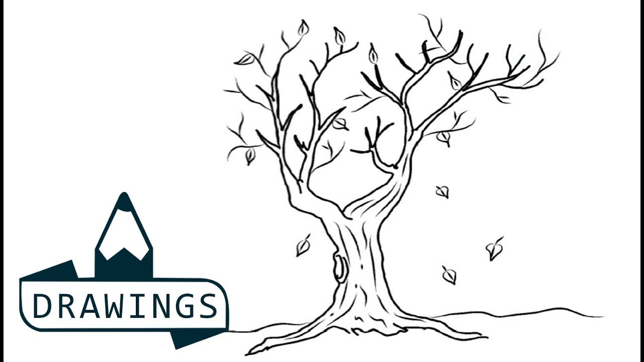 1280x720 Speed Drawing How To Draw A Dry Tree - Dry Drawing
