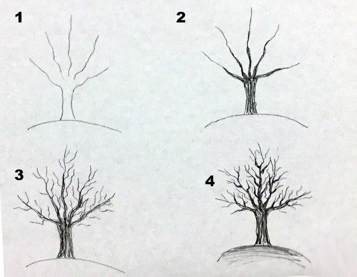 Featured image of post Dry Tree Drawing For Kids - Or if the trees are bare, then they draw lots of rectangles that look more like boards instead of branches.
