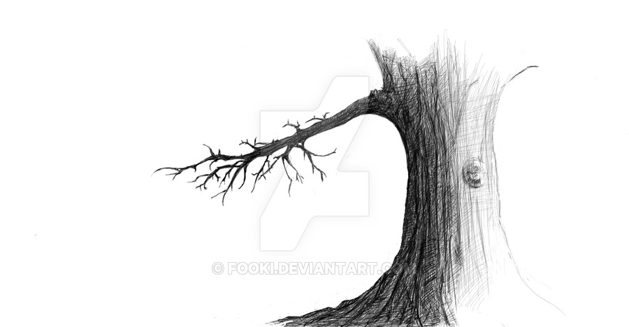 900x468 Dry Tree - Dry Tree Drawing