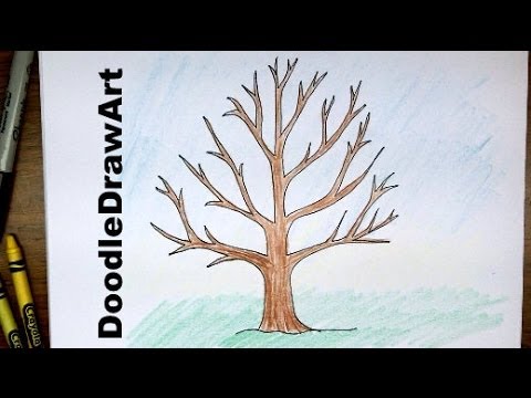 480x360 How To Draw A Tree Without Leaves - Dry Tree Drawing
