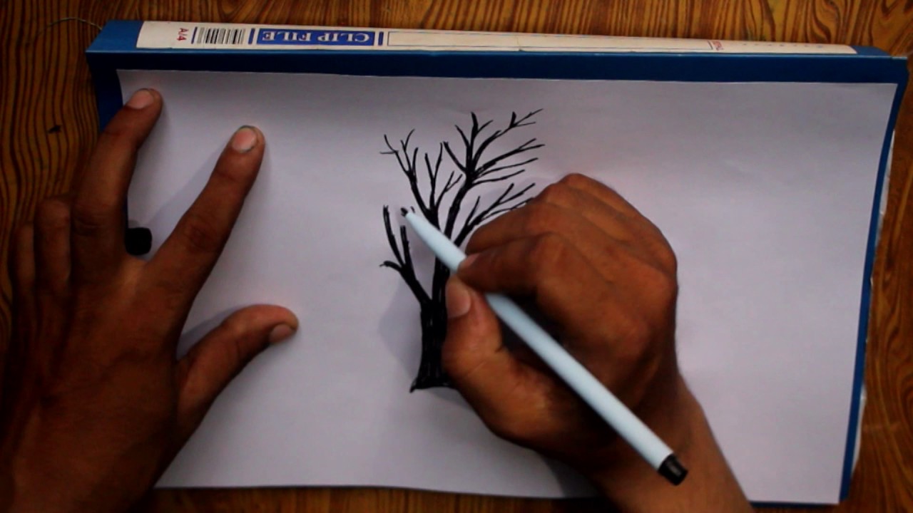 Dry Tree Drawing at PaintingValley.com | Explore collection of Dry Tree ...