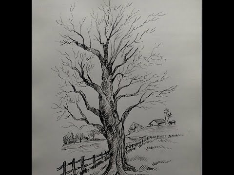 480x360 How To Draw Sketch Beautiful Dried Tree Landscape - Dry Tree Drawing