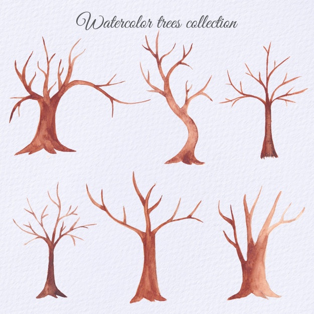 626x626 Dry Tree Vectors, Photos And Free Download - Dry Tree Drawing