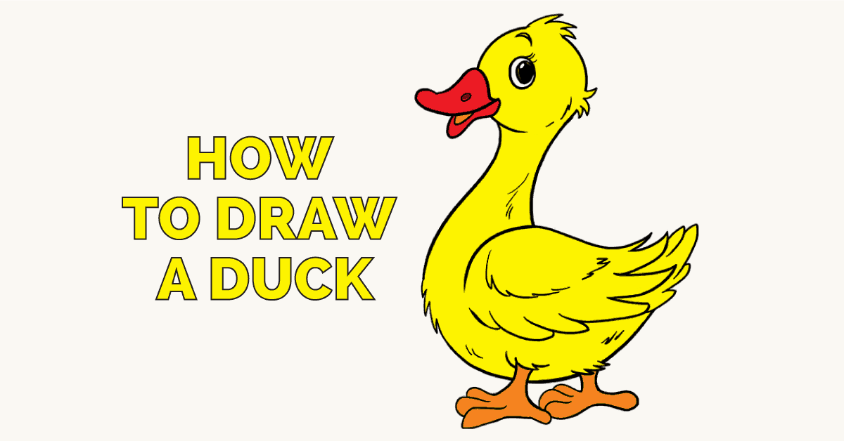 1200x628 How To Draw A Duck In A Few Easy Steps Easy Drawing Guides - Duck Drawing