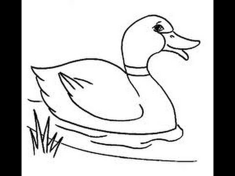 480x360 Crayon Drawing - Duck Drawing