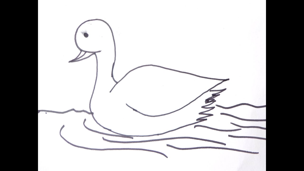 1280x720 How To Draw A Simple Duck - Duck Drawing