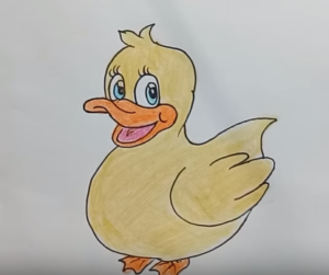 300x251 Learn How To Draw For Kids How To Draw Cute Duck Step - Duck Drawing