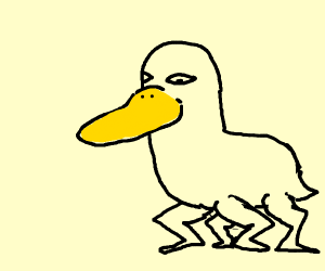 300x250 Realistic Duck Drawing - Duck Drawing