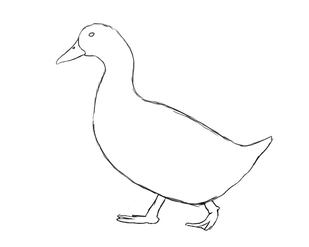1024x819 how to draw a duck draw duck drawing, drawings, bird drawings - Duck Drawing