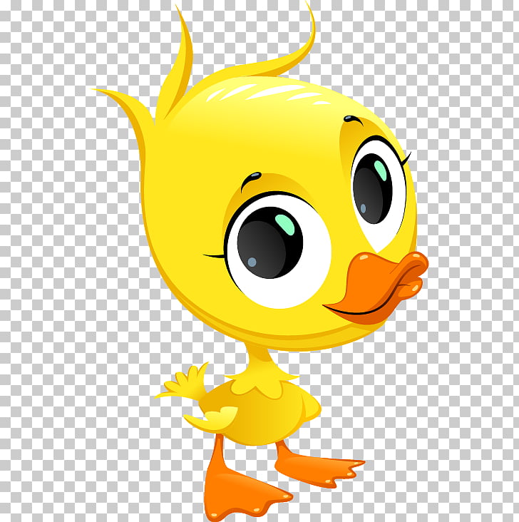 728x732 duck drawing, cartoon duck png clipart free cliparts uihere - Duck Drawing Cartoon