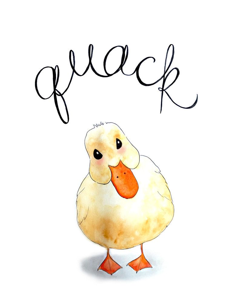 800x1000 Duck Drawing Outline Contest Daisy Easy Cartoon Pencil Donald Baby - Duck Drawing Cartoon