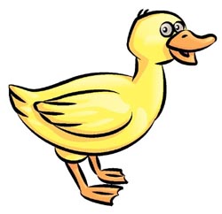250x242 How To Draw Ducks Drawing Tutorials Drawing How To Draw - Duck Drawing Cartoon