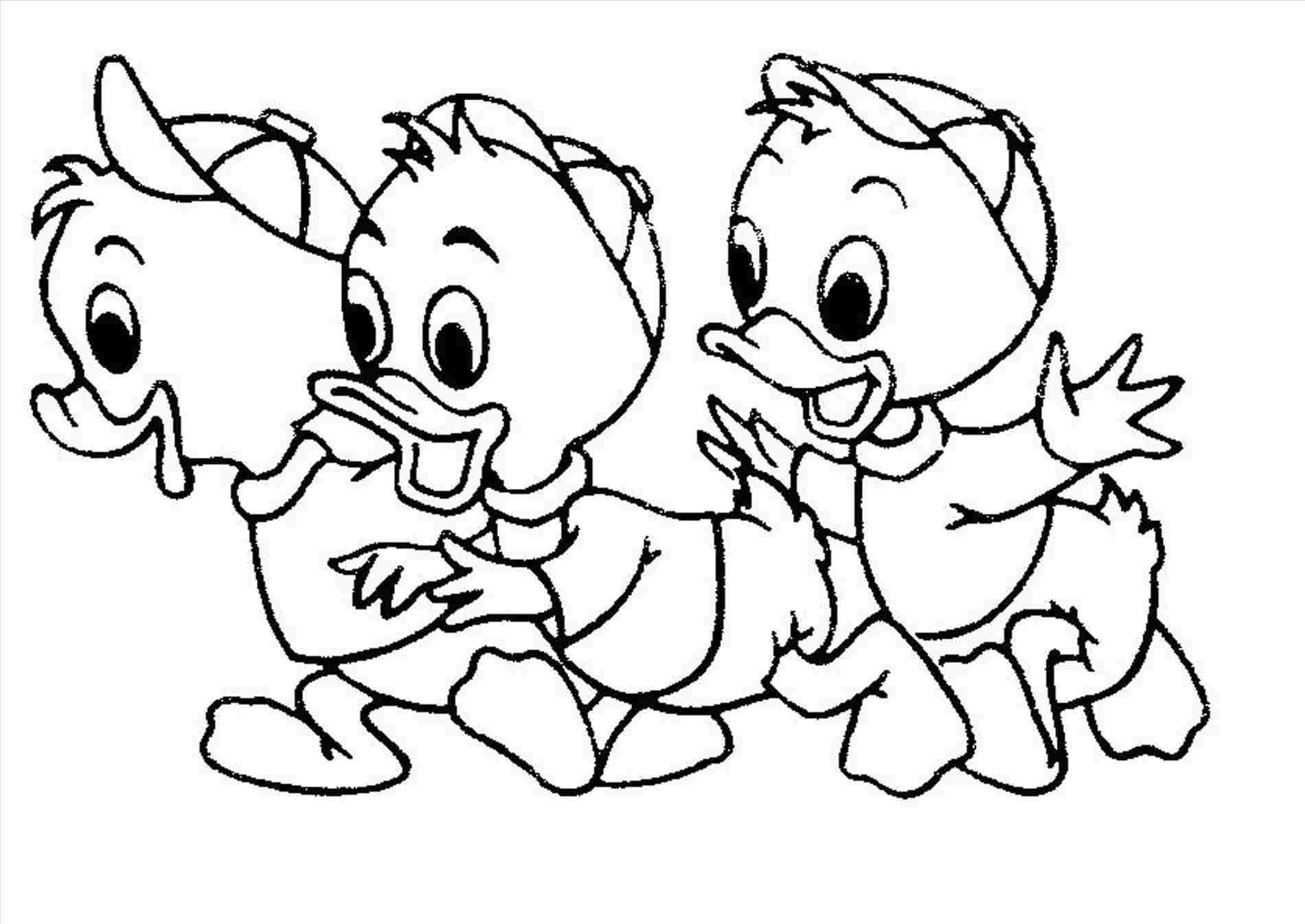 1900x1346 easy easy duck drawing ducks to draw cartoon duck drawing how - Duck Drawing Cartoon