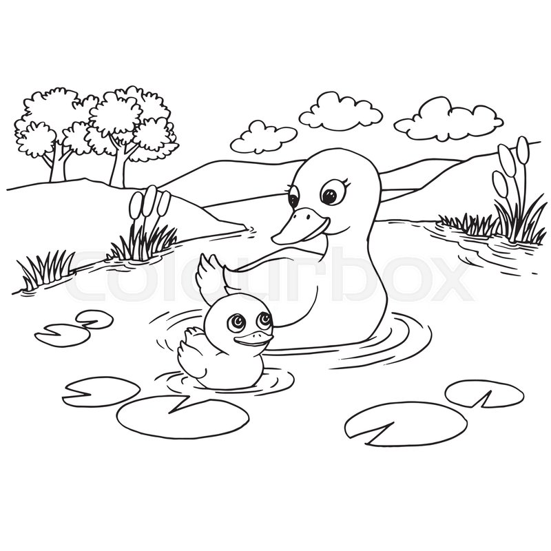 800x800 Cartoon Cute Duck Coloring - Duck Drawing Cartoon