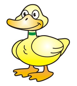 250x281 Drawing Cartoon Ducks Step - Duck Drawing Cartoon