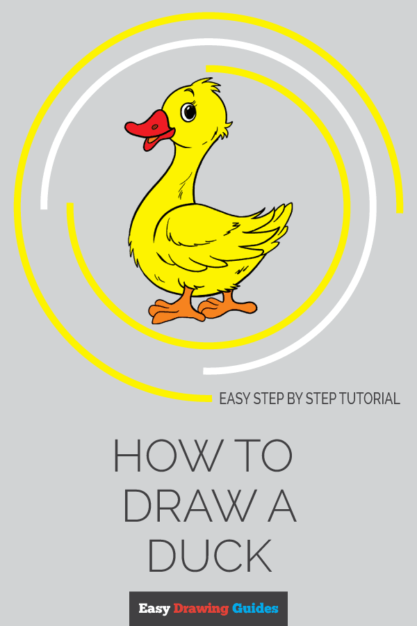 600x900 How To Draw A Duck In A Few Easy Steps Easy Drawing Guides - Duck Drawing Easy