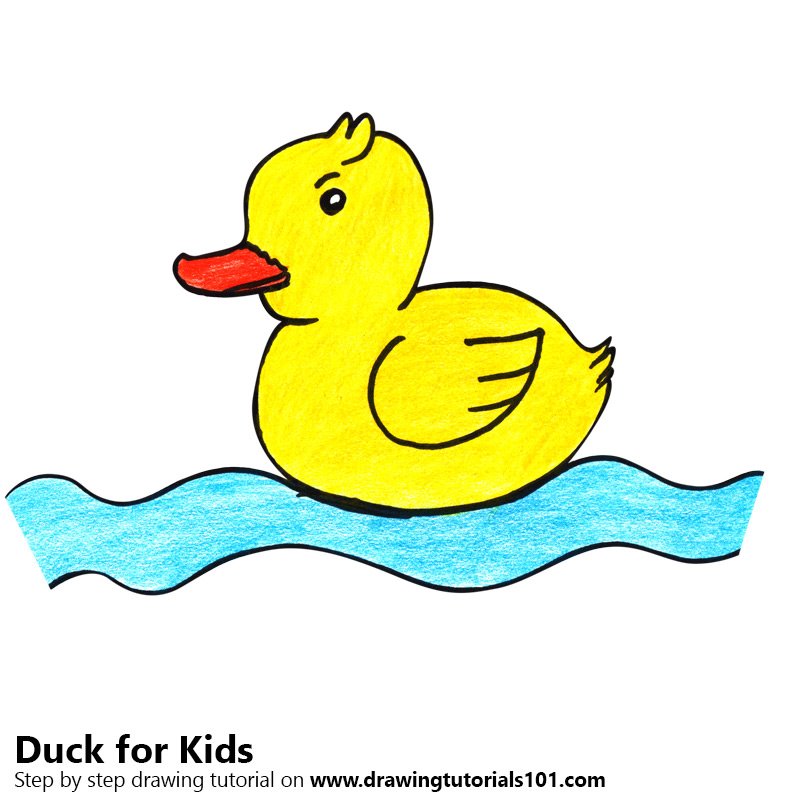 800x800 Learn How To Draw A Duck For Kids - Duck Drawing Easy