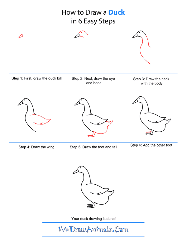 600x776 How To Draw A Duck - Duck Drawing Easy