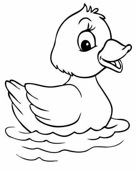 478x600 Duck - Duck Drawing For Kids