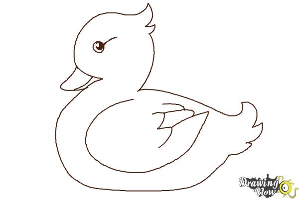 600x400 Easy Duck Drawing How To Draw A Simple Drawingnow Coloring - Duck Drawing For Kids