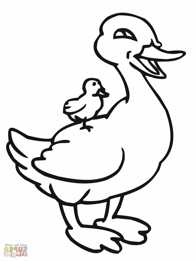 768x1024 Energy Simple Drawing Of A Duck How To Draw Baby For Kids Easy - Duck Drawing For Kids