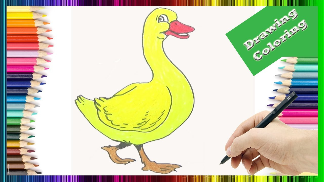1280x720 Top Duck Drawing For Kid Collection - Duck Drawing For Kids