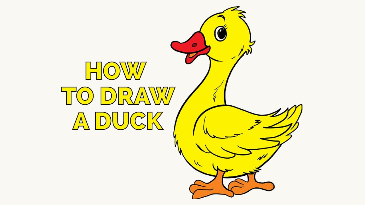 1280x720 How To Draw A Duck In A Few Easy Steps Drawing Tutorial For Kids - Duck Drawing For Kids