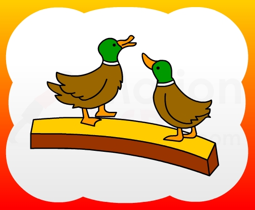 503x415 How To Draw Two Ducks For Kids - Duck Drawing For Kids